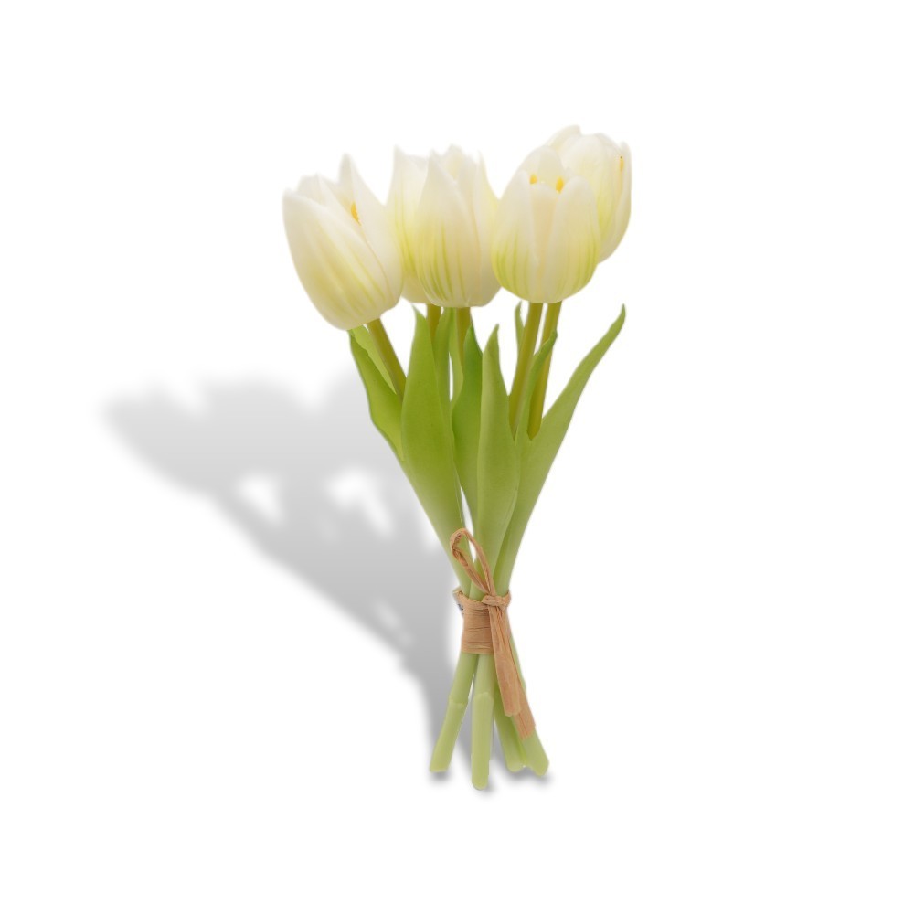 MAZZETTO 5 TULIPANI PICCOLI H20 PANNA